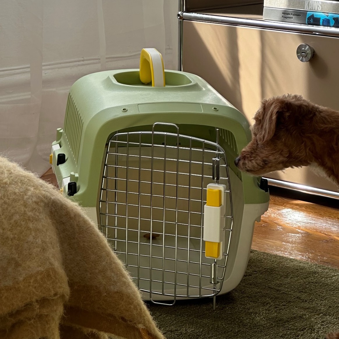 oodles pet travel kennel matcha green