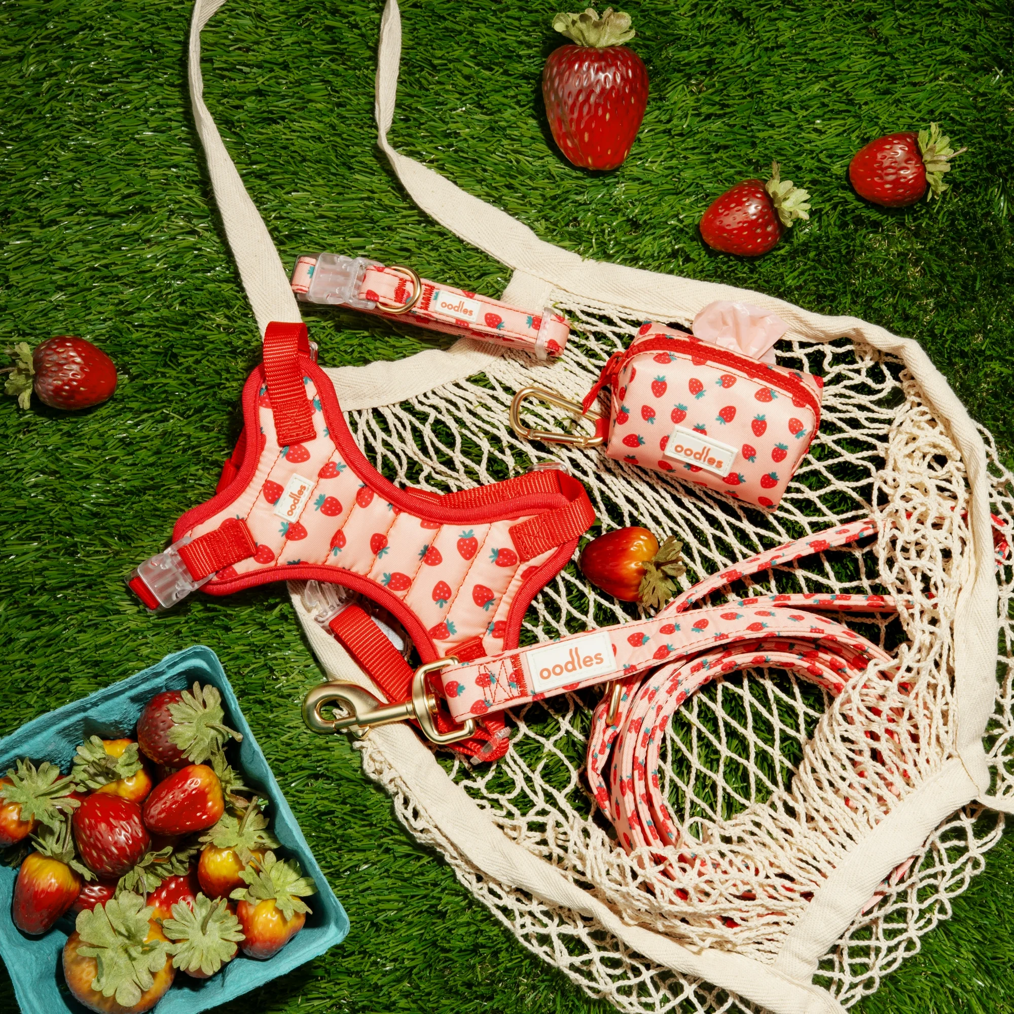 oodles pet strawberry walking harness
